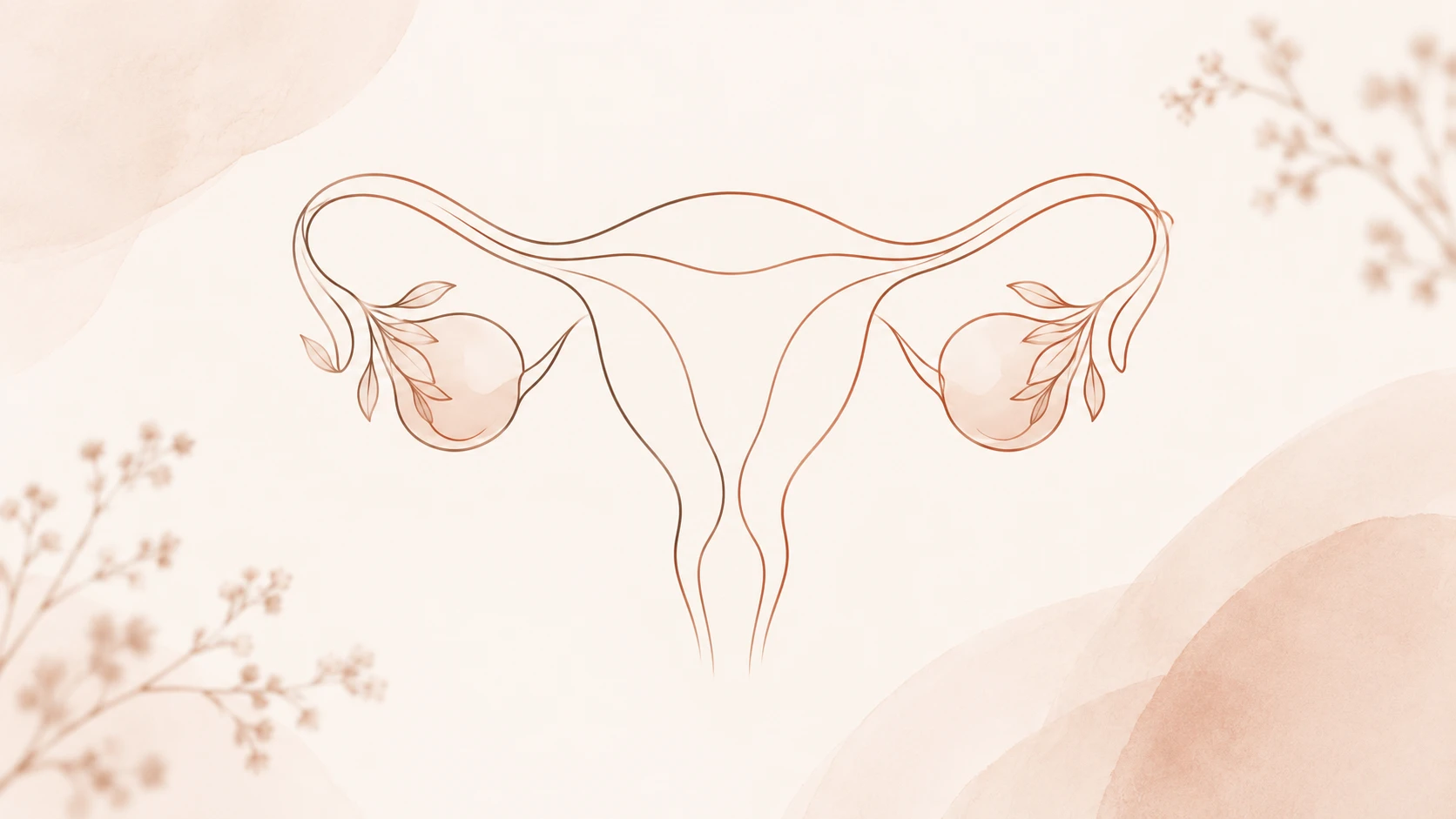 Ilustração delicada de ovários e trompas estilizados em traços finos, tons rosé e terracota sobre fundo nude claro, luz quente e suave